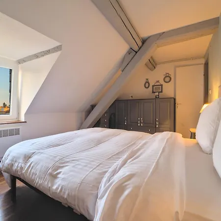 Unsejourametz - Charme De L'ancien, Hyper-centre, Parking Daire Metz